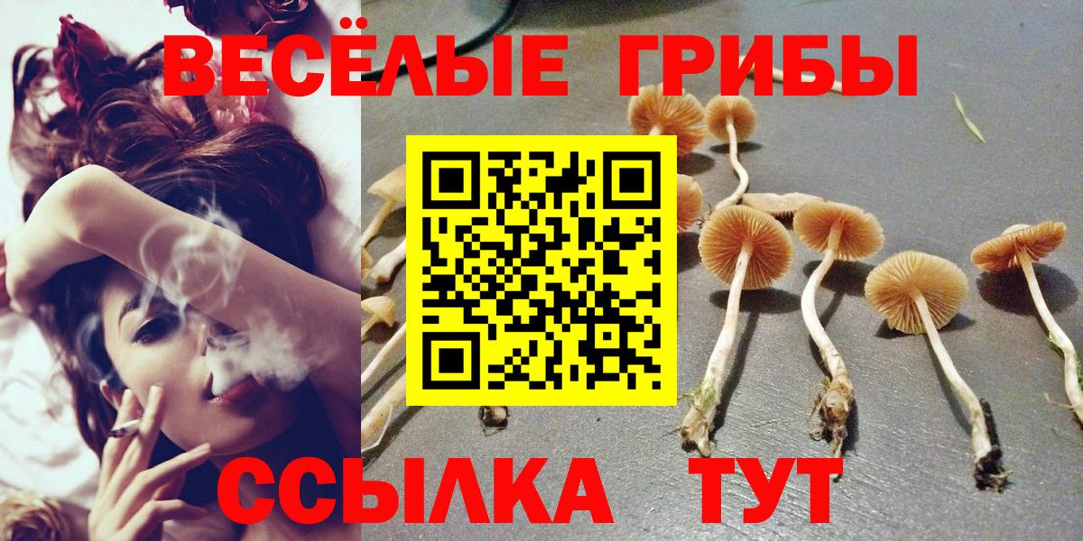 Мыски  Галлюциногенные грибы прущие грибы  Вход с VPN 