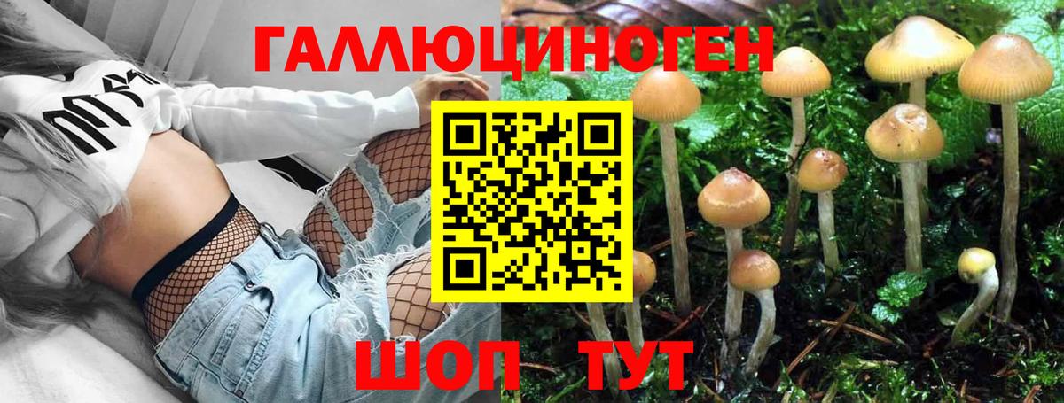 Псилоцибиновые грибы GOLDEN TEACHER Мыски
